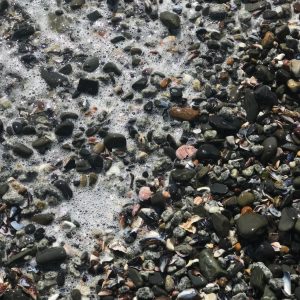 Sea foam moving over a mixture of stones and shells along the shoreline