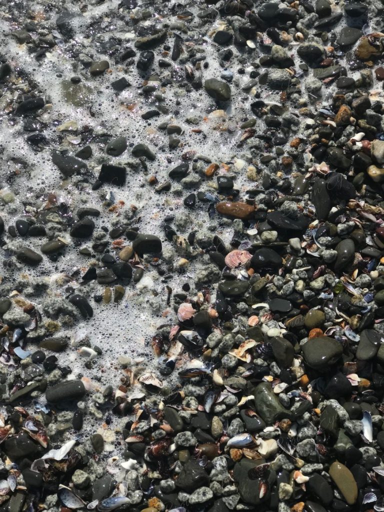 Sea foam moving over a mixture of stones and shells along the shoreline