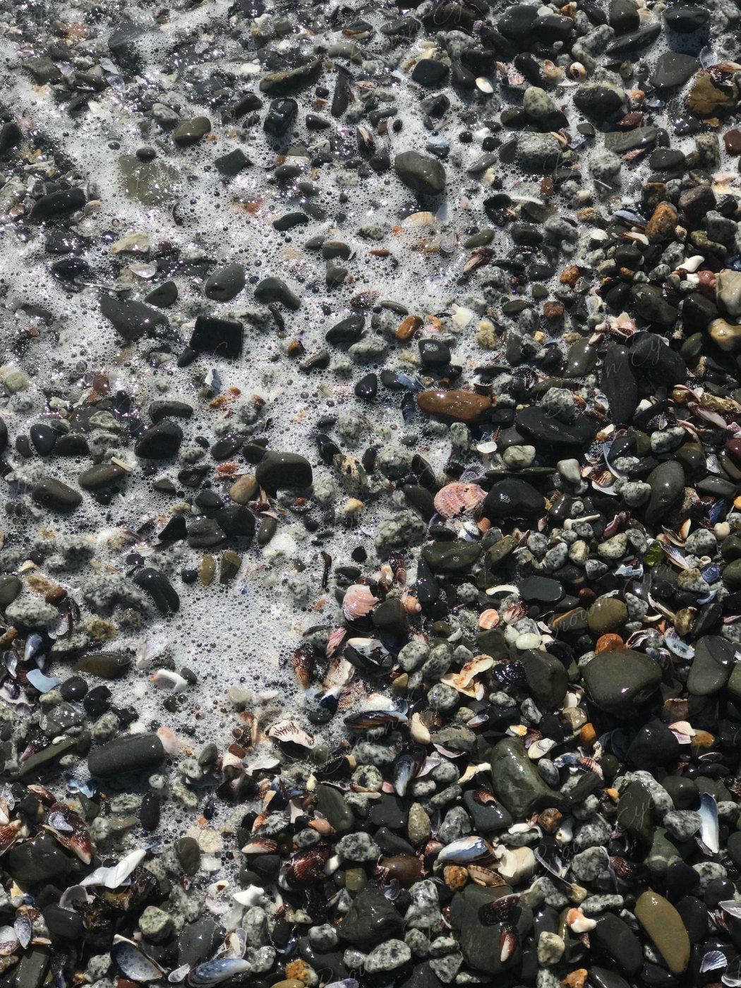 Sea foam moving over a mixture of stones and shells along the shoreline