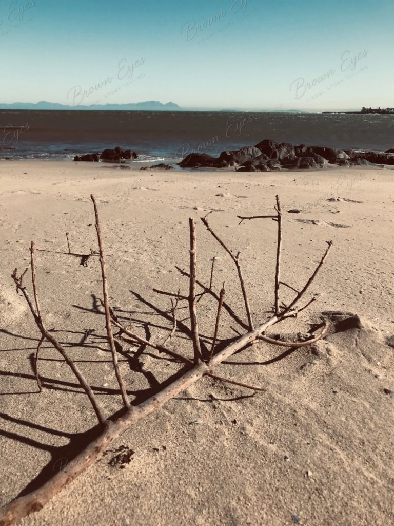 A fallen branch resting on the sand, its sharp shadows stretching across the beach in Cape Town