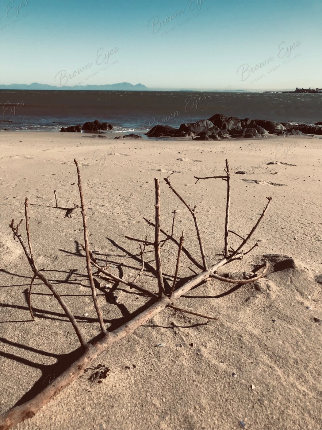 A fallen branch resting on the sand, its sharp shadows stretching across the beach in Cape Town
