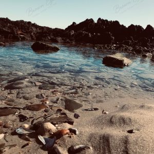 Still water with shells and smooth stones resting beneath the surface