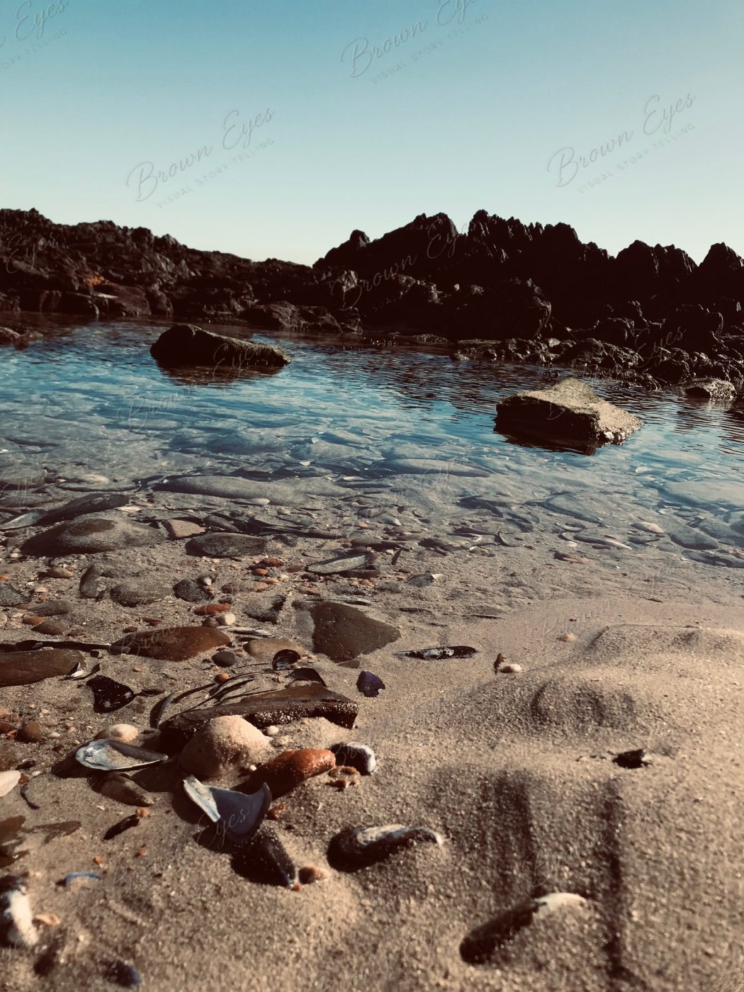 Still water with shells and smooth stones resting beneath the surface